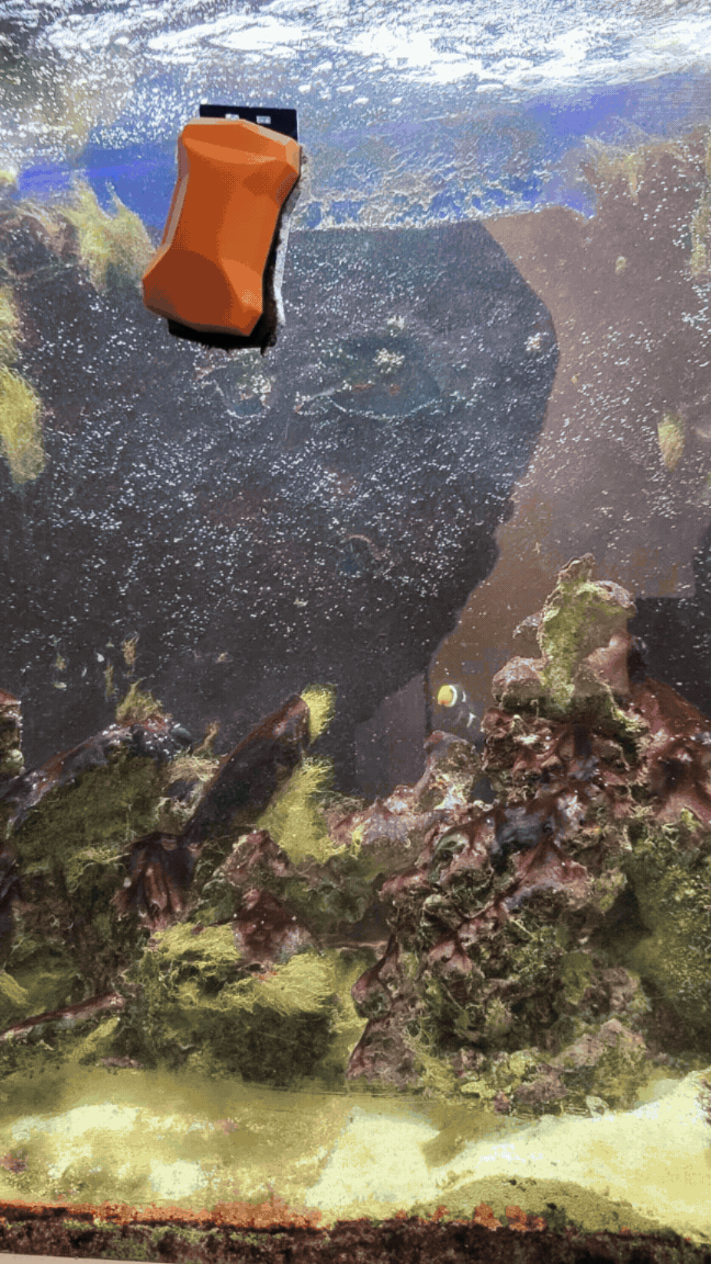 Tank transformation from first visit to final result